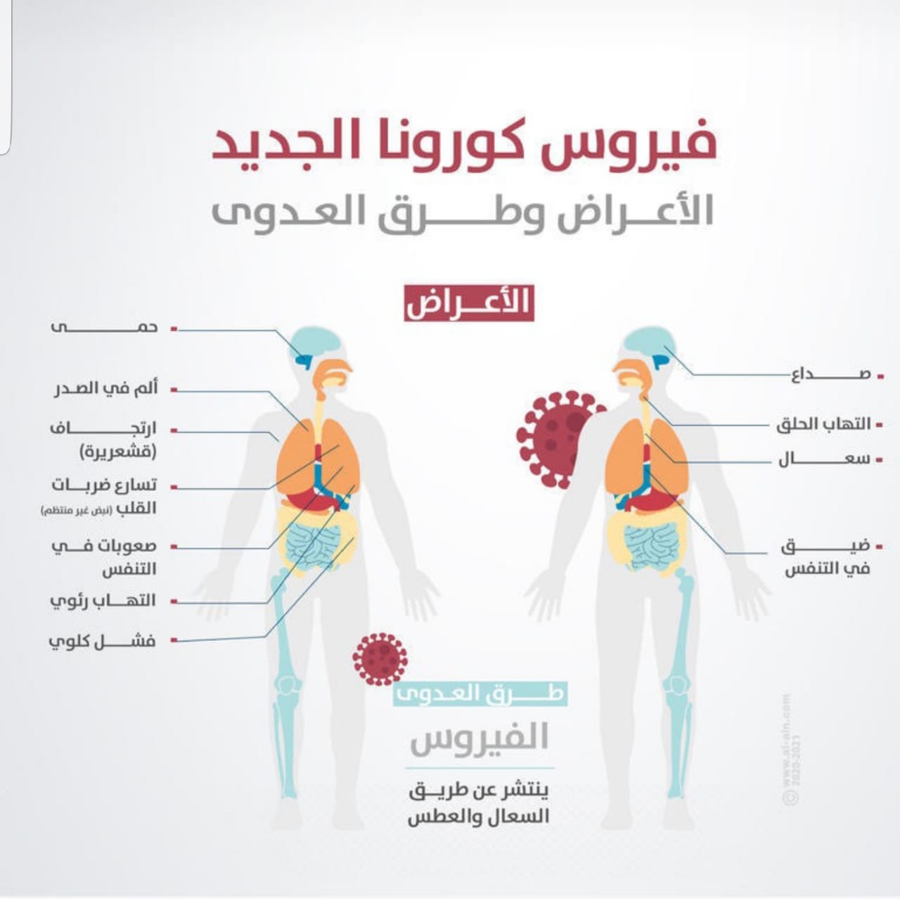 خطوات للوقايه من فيرس كورونا